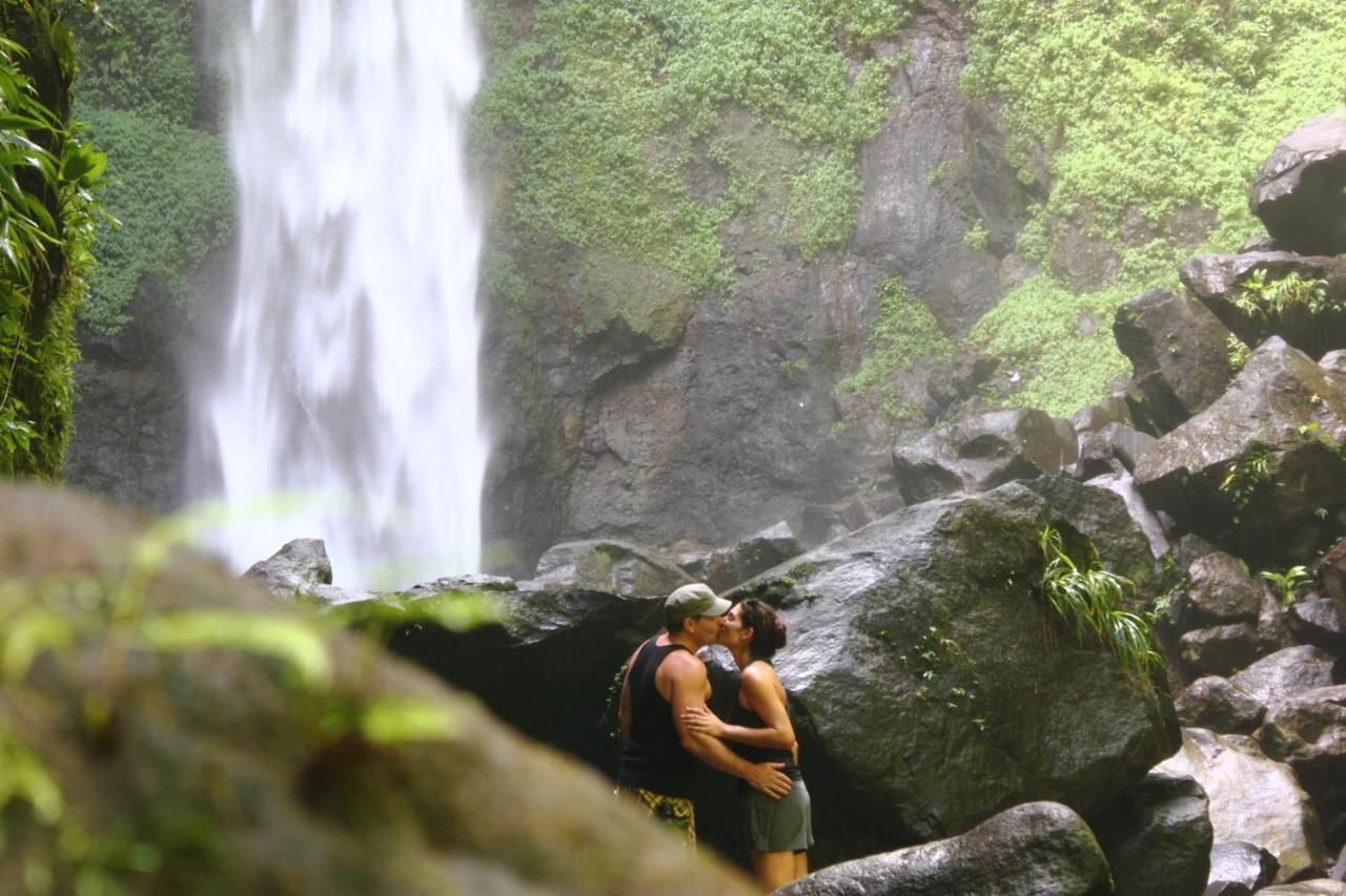 Jungle Bay Dominica Hotel Soufriere Kültér fotó